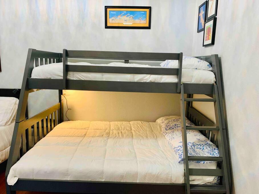 Pershing Place: Historic Home With Heated Spa/Pool By Zoo, Pearl, Golf, Witte San Antonio Bagian luar foto